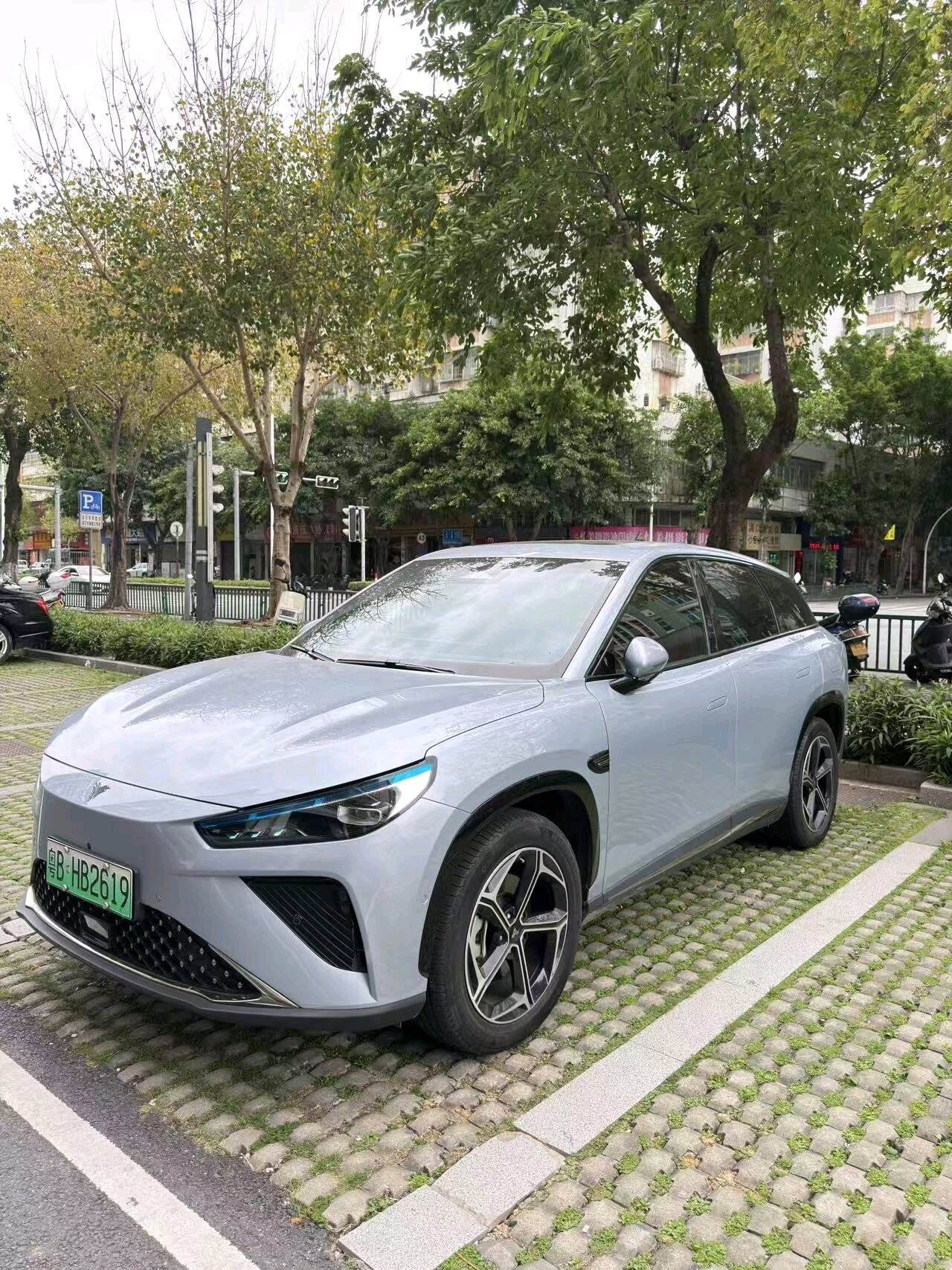 Naiza L 310 Shanchong Hongyi Ban