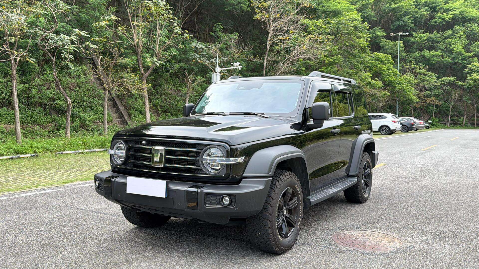 2024 Tanke 300 2.0T Zengfu Ren
