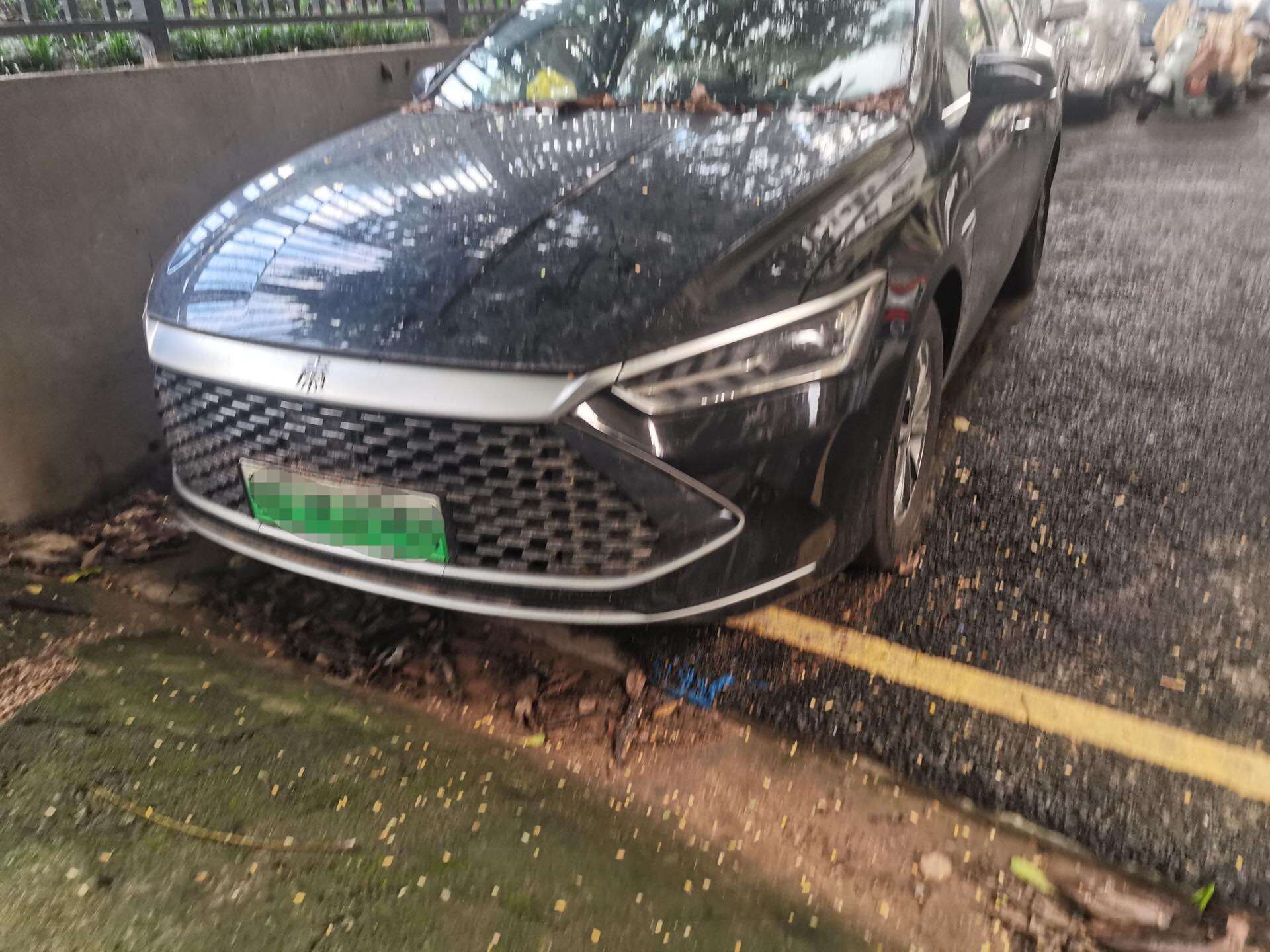 Qin PLUS DM-i 1.5 CVT 荣耀 Edition 55KMLeading