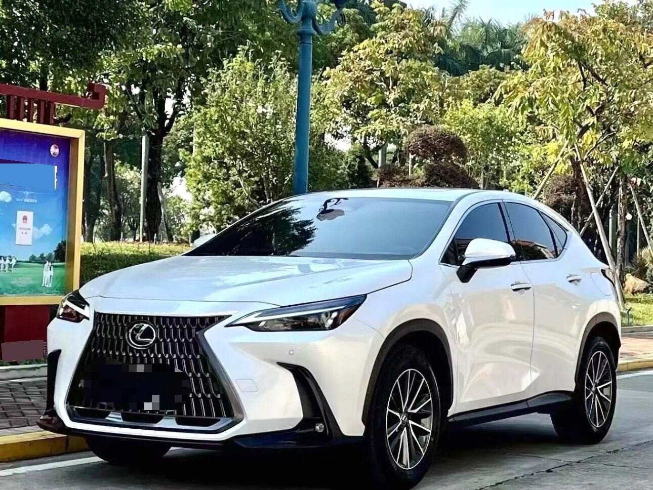 2022 NX 2.5 260 Driver