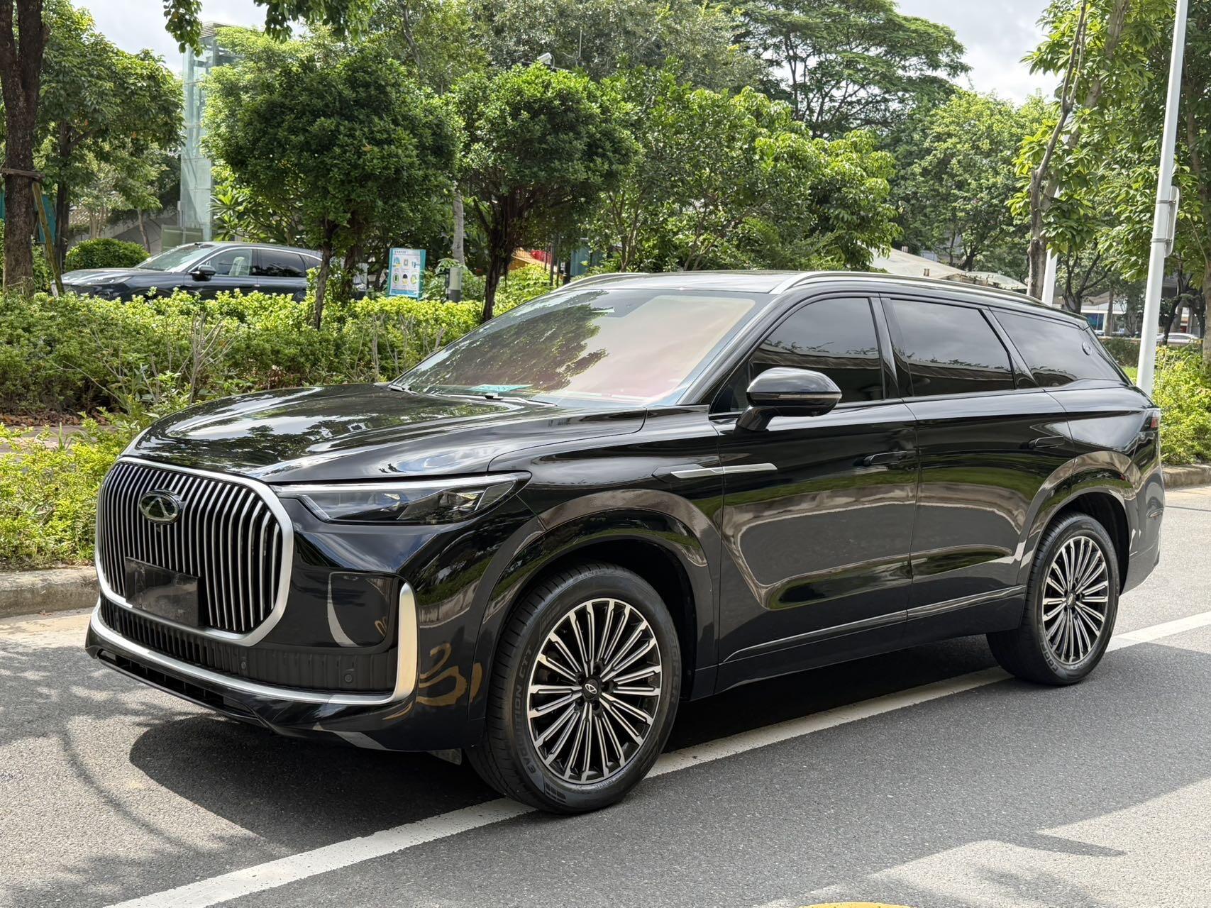 Ruihu9 2025 2.0T 2WD Luxury Edition 5-seater