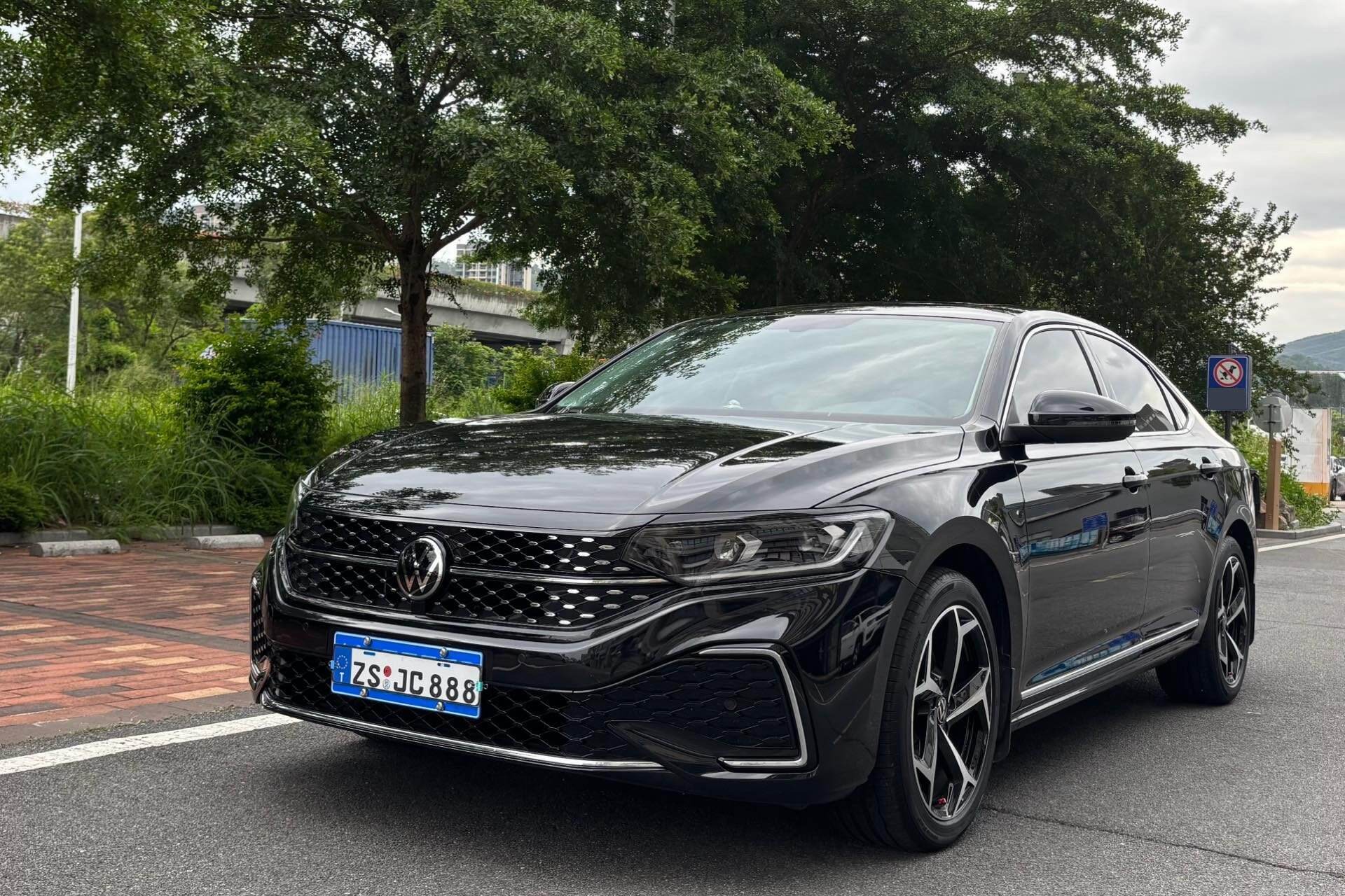2026 Passat 2.0 TSI 380 TSI Outstanding Model Starry Sky Dragon Soaring Edition