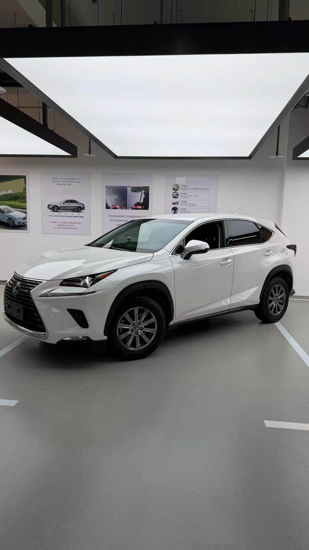 NX300 2.0T Fengxing Edition