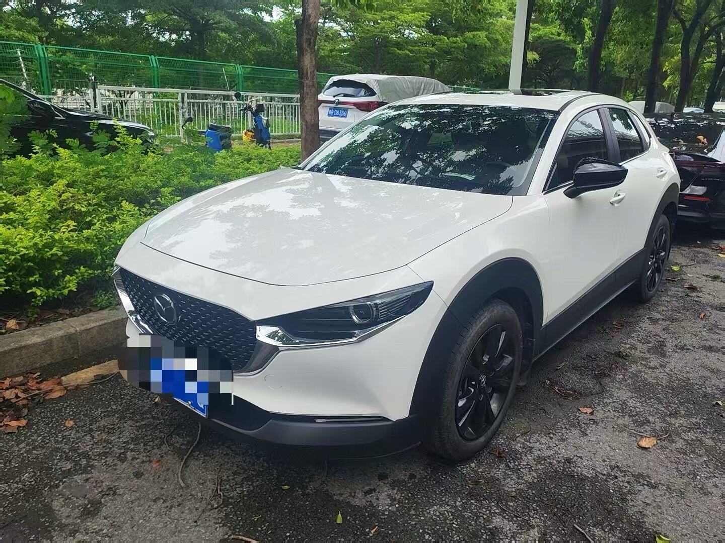 CX-30 2.0 Ya Yue Type
