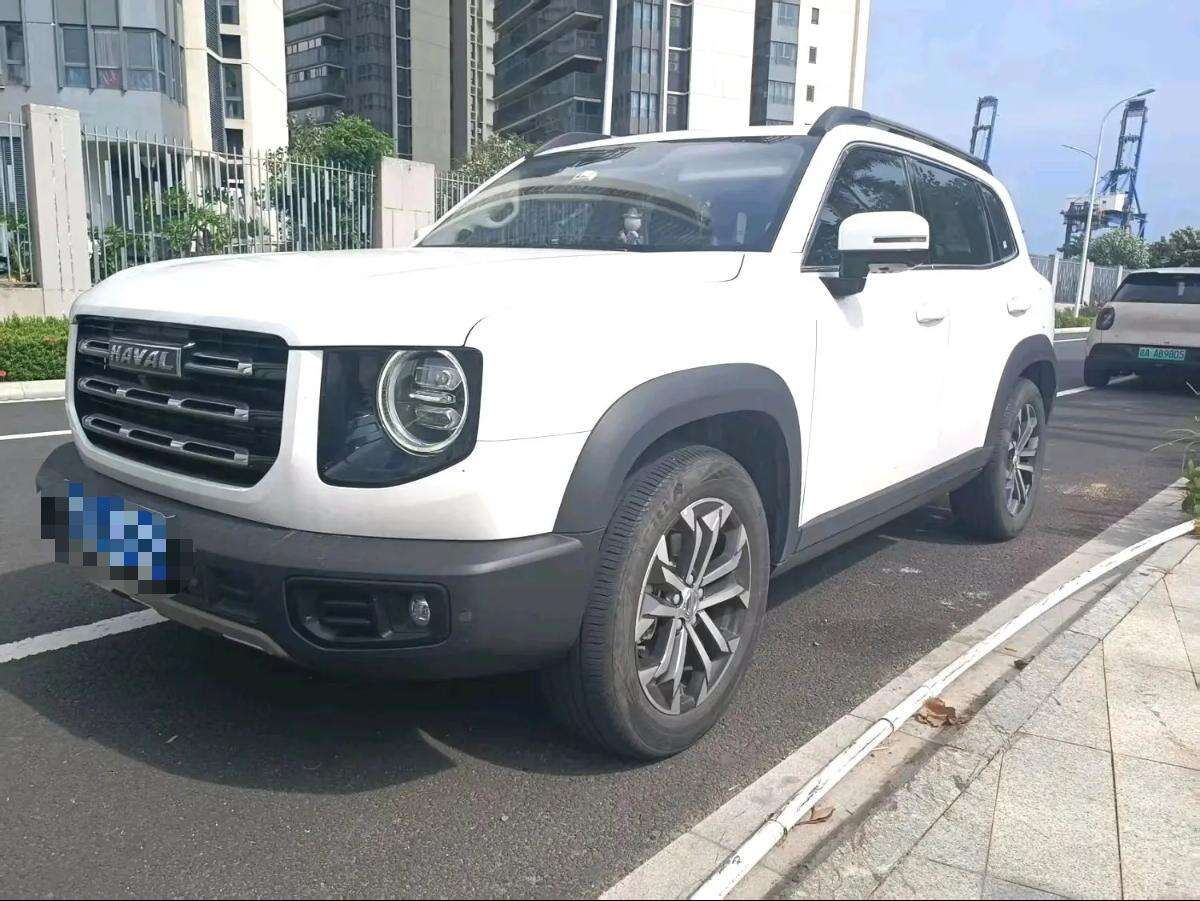 2022 Doge 1.5T 2WD Border Collie Edition