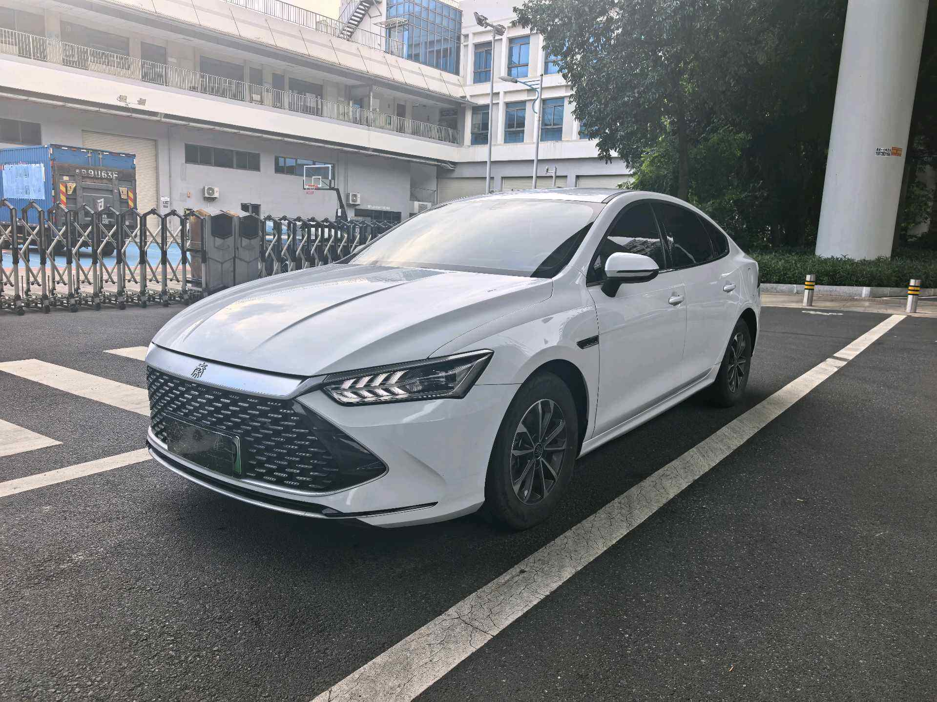 Qin PLUS DM-i 1.5 CVT 荣耀 Edition 55KMLeading