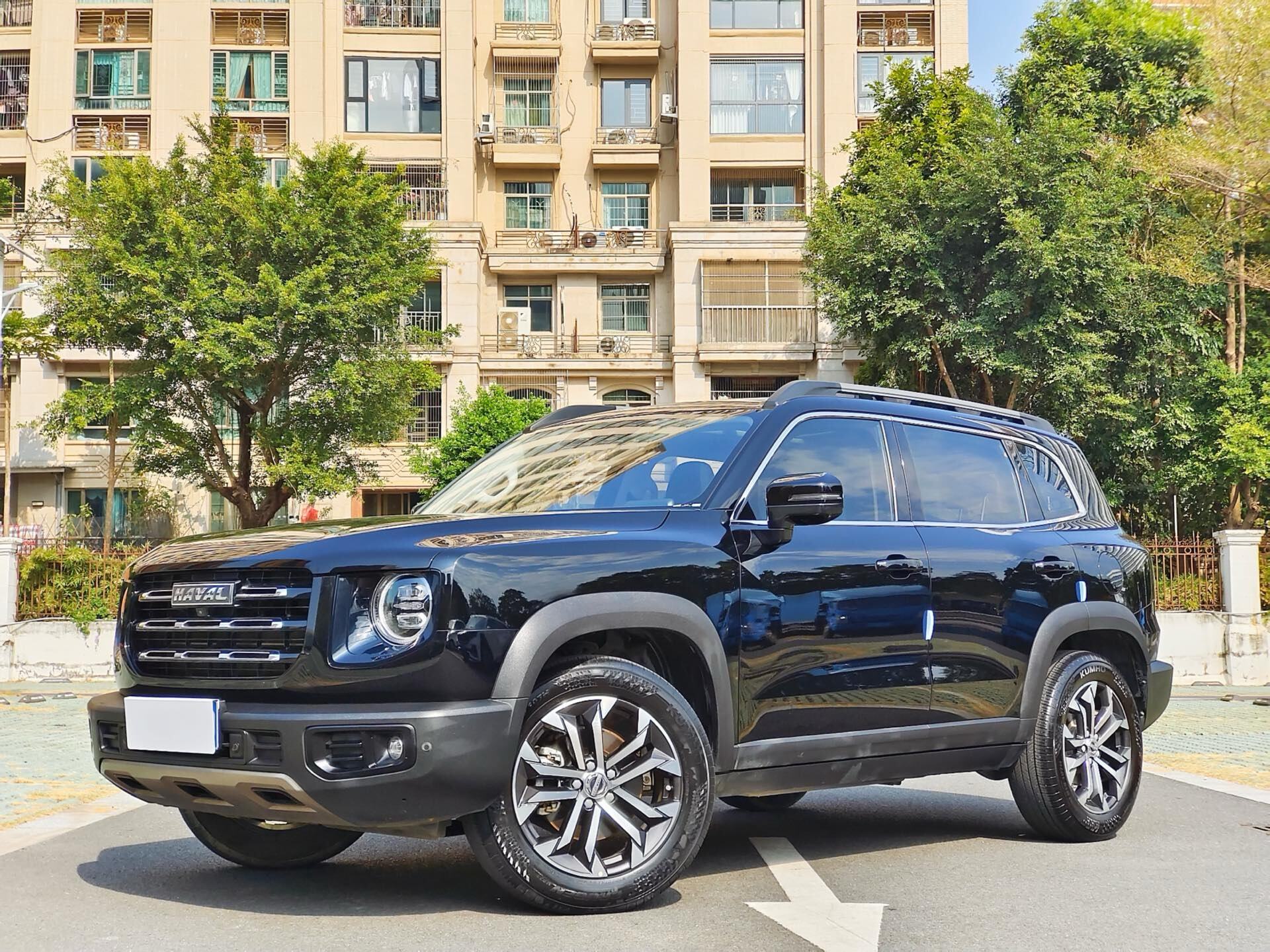 2022 Doge 1.5T 2WD Border Collie Edition