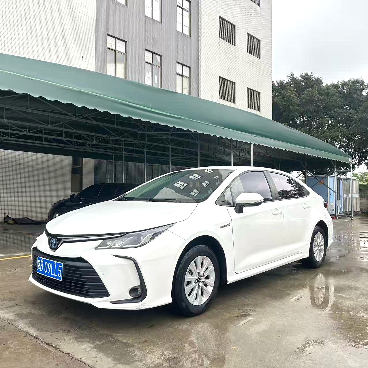 2022 Toyota Corolla Hybrid 1.8 CVT Leading