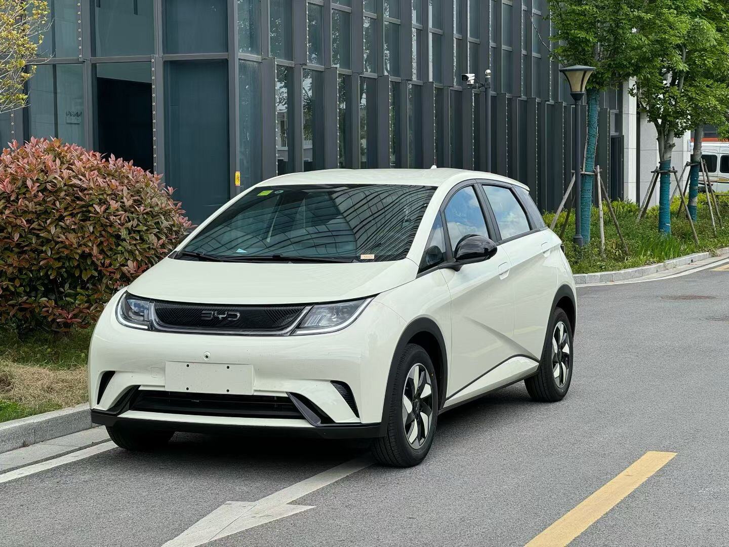 2025 Dolphin 420km Free Edition