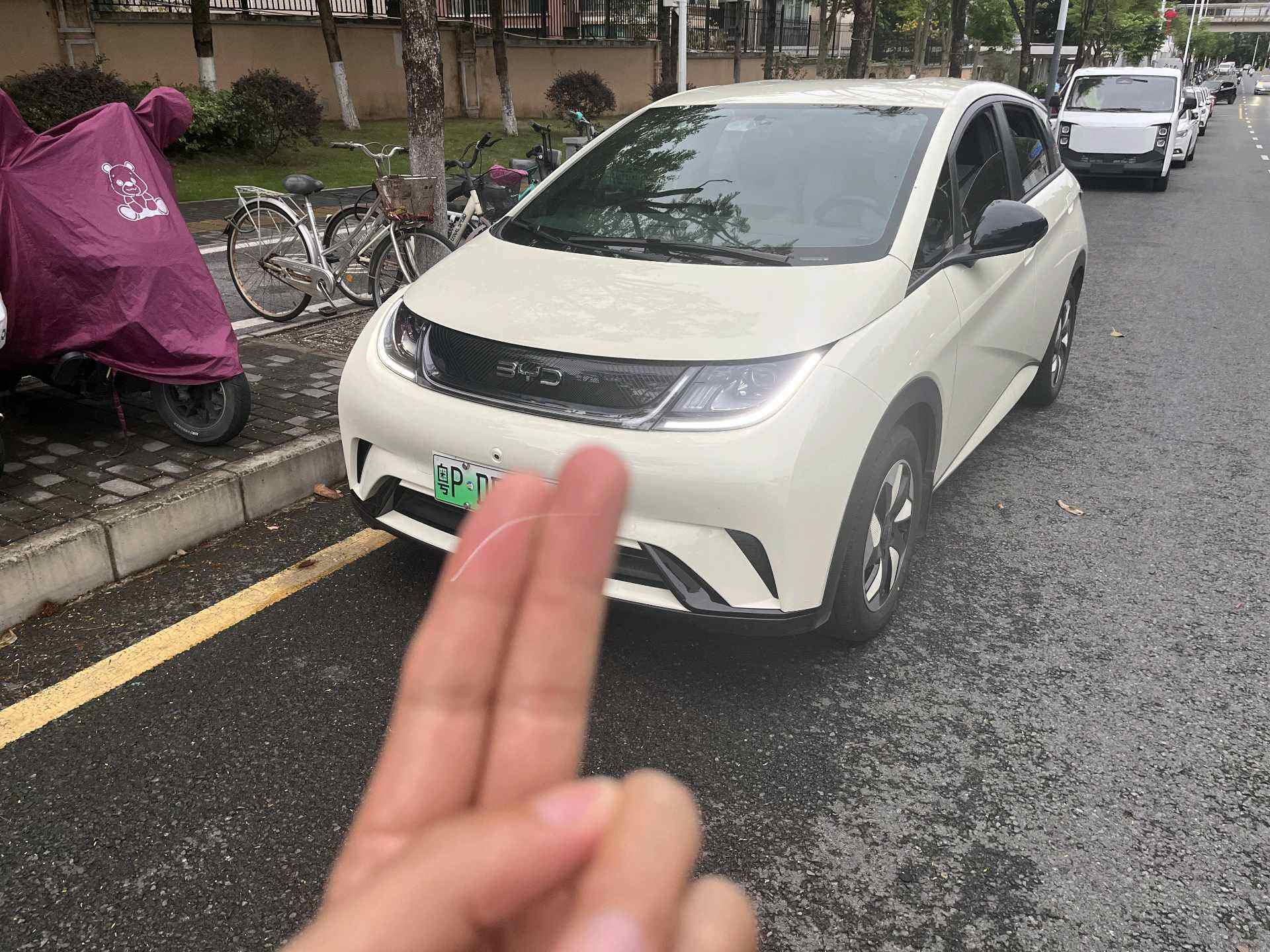 2025 Dolphin 420km Active Edition