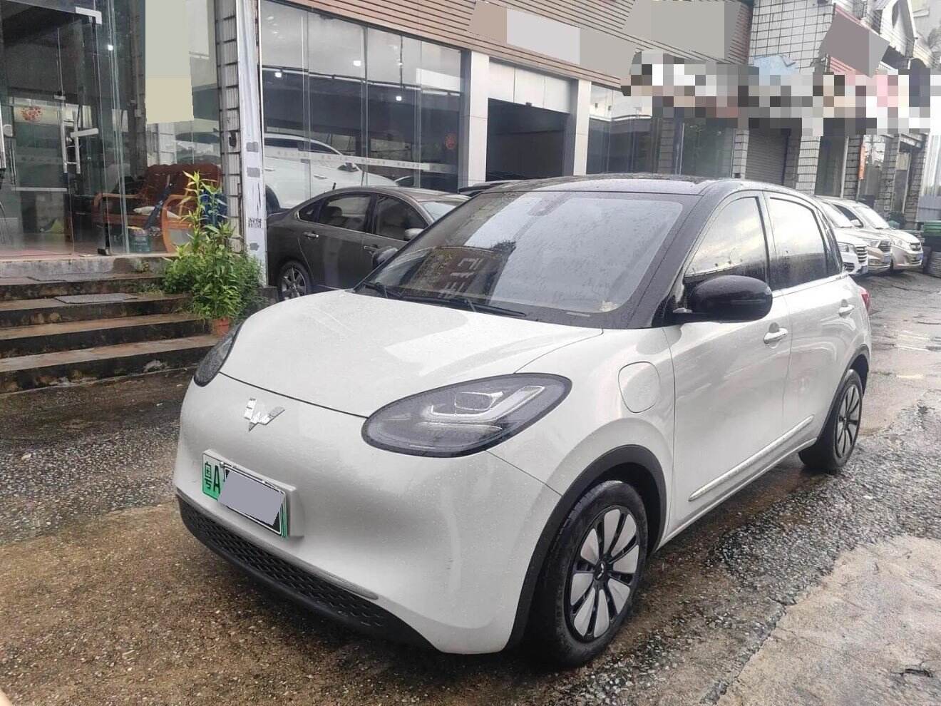 2023 Bingbo 333km Enjoyment Plus Model