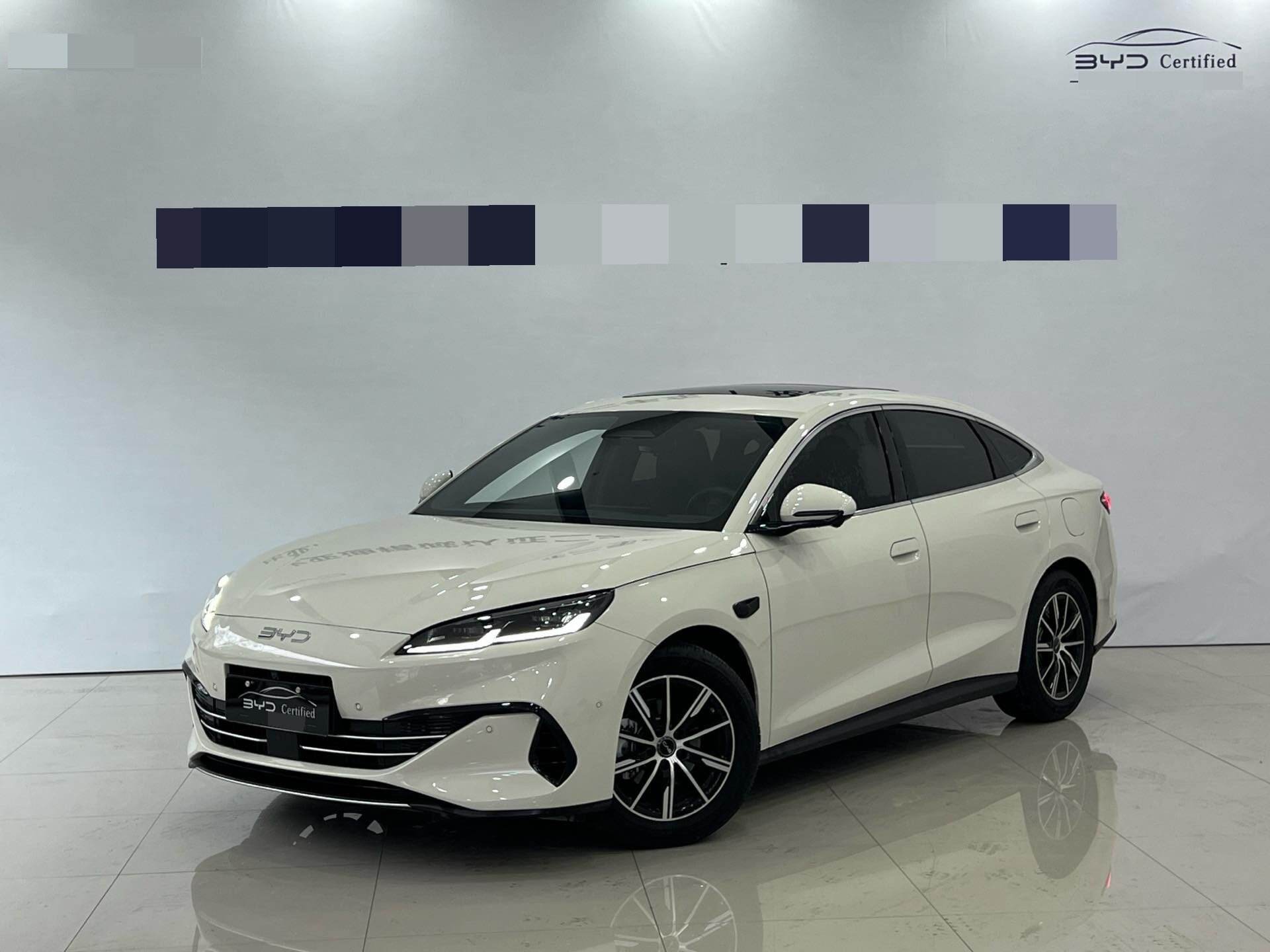 Hai豹06 DM-i 1.5 Infinite智驾版 120KM尊享型