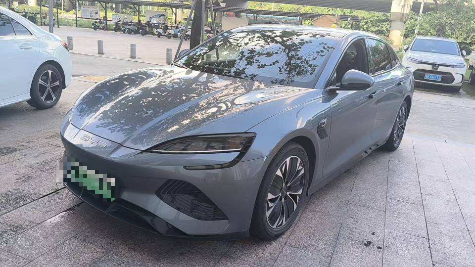 2024 Hai豹 Honor Edition 550km Premium Model