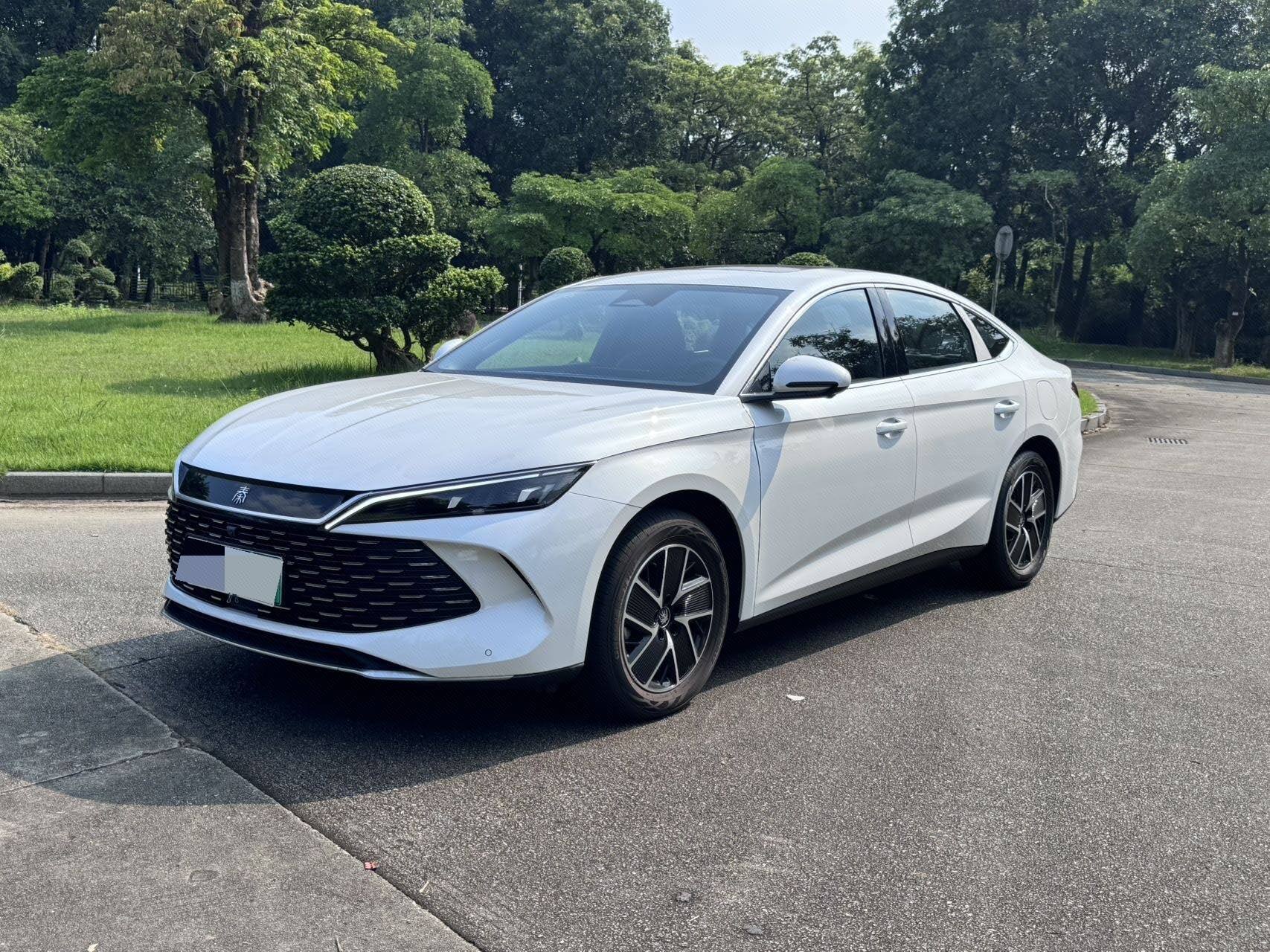 2024 Qin L DM-i 1.5 CVT 120KM Superior Version