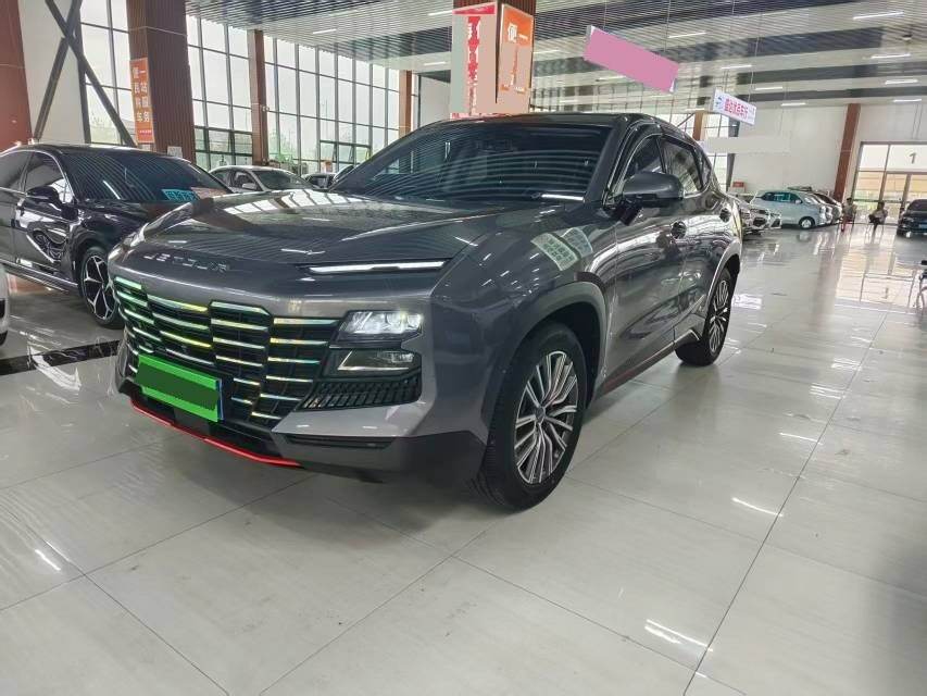 Dasi 1.6T Wangzhe
